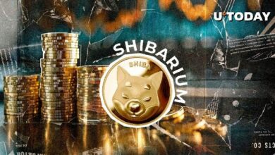 فريق Shiba Inu يُصدر تحديثًا رئيسيًا لـ Shibarium – اكتشف التفاصيل الآن!