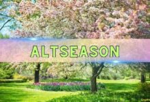 العملات البديلة ووكلاء الذكاء الاصطناعي يسرقون الأضواء مع تراجع الحديث عن التعريفات الجمركية