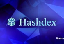 "مؤشرات العملات الرقمية تقدم 'أكبر فرصة' مع اقتراب قرار هيئة الأوراق المالية: رئيس الاستثمار في Hashdex يوضح التفاصيل"