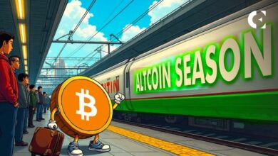 انسحابات البيتكوين الكبيرة تشير إلى صعود السوق.. هل يعود موسم الألتكوينات بقوة؟ اكتشف التفاصيل الآن!