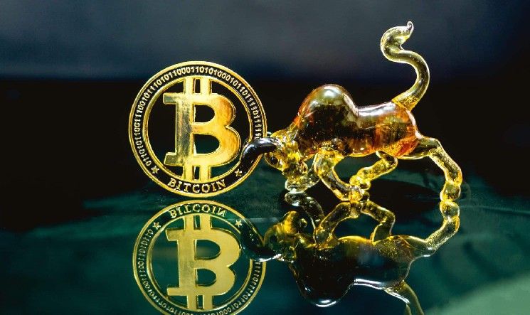 لماذا وصل البيتكوين (BTC) إلى مستوى قياسي جديد؟ ولماذا تظل العملات البديلة هادئة؟ تحليل شامل للأسباب [اكتشف التفاصيل الآن]