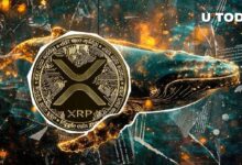 **"تحويل عملة XRP بقيمة 69,536,183 دولار يصدم بورصة كبرى للعملات الرقمية في الولايات المتحدة – اكتشف التفاصيل الآن!"**
