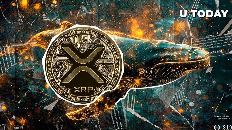 **"تحويل عملة XRP بقيمة 69,536,183 دولار يصدم بورصة كبرى للعملات الرقمية في الولايات المتحدة – اكتشف التفاصيل الآن!"**