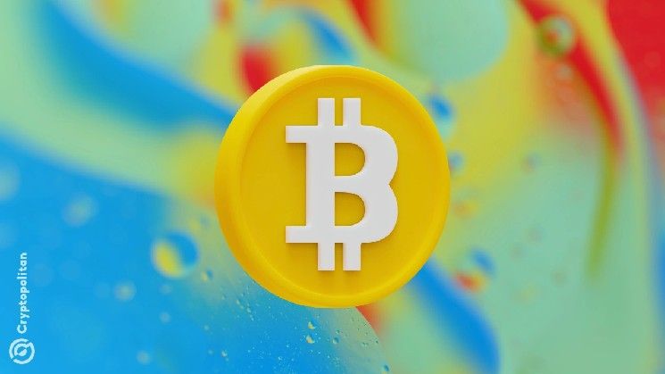 أفضل مديري الأصول يخفضون حيازاتهم من صناديق البتكوين ETF بنسبة 40% بعد تراجع الأسعار في الربع الأول - اكتشف التفاصيل الآن!