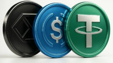 تقرير: المستثمرون يرون في العملات المستقرة "التطبيق القاتل" في عالم العملات الرقمية