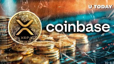 29,532,534 XRP تصدم بورصة العملات الرقمية الكبرى Coinbase: اكتشف التفاصيل الآن