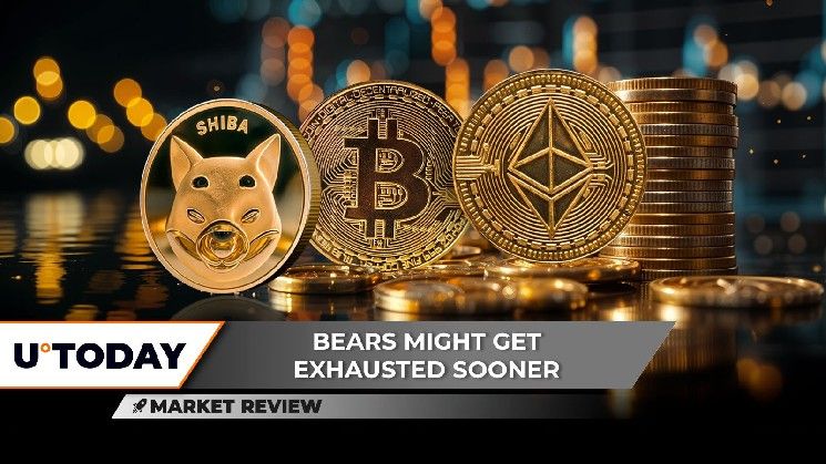 هل سيتخلص شيبا إينو (SHIB) من صفر آخر؟ بيتكوين (BTC) يشير إلى انعكاس قياسي جديد الآن، بينما إيثريوم (ETH) عالق في المأزق!