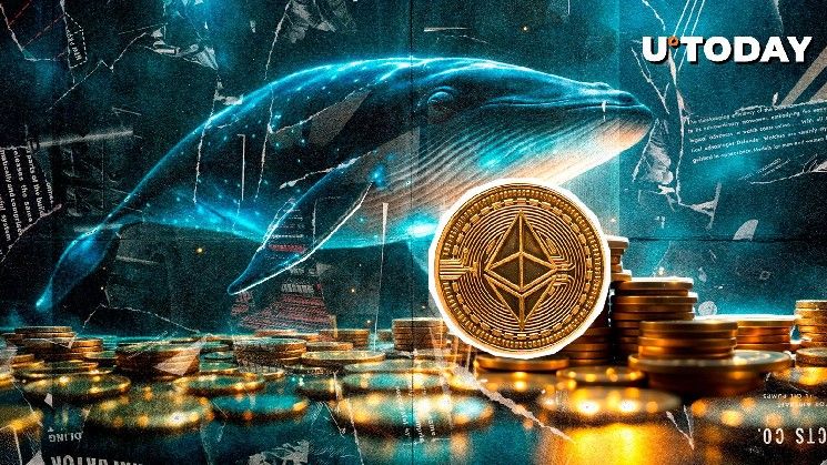 العملات الكبيرة تعود إلى إيثريوم فجأة: اكتشف الأسباب الآن!