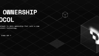 بروتوكول ملكية البيانات (DOP) تحت المجهر: كل ما يحتاج المستثمرون إلى معرفته