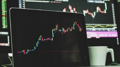 "عملات الميم تتأرجح بشدة مع تباين أداء زيربرو، فارتكوين، ولوفي – اكتشف التقلبات الآن!"