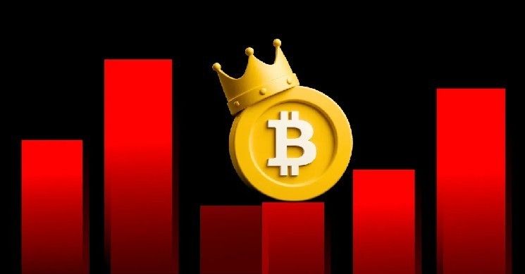 أيهما سيحقق أرباحًا أكبر: شراء البيتكوين أم أسهم خزينة البيتكوين؟ اكتشف الخيار الأفضل الآن!