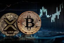 "مذبحة XRP/BTC: هل ينتظر مجتمع XRP تحسنًا قريبًا؟ اكتشف الآن!"