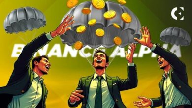 "إيرادات ضخمة من إسقاطات ألفا على بينانس! هل حقق المستخدمون أرباح مايو؟ اكتشف الآن!"