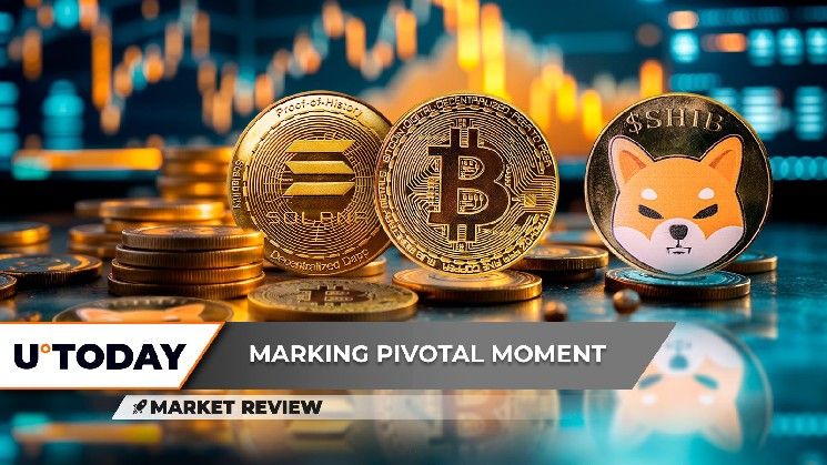 "سولانا (SOL) قد تُفاجئ السوق.. أداء بيتكوين (BTC) المتفجر على الأبواب.. شيبا إنو (SHIB): فرصة ذهبية أم مخاطرة كبرى؟"