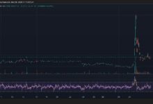 "عملة CANTO تعود من الرماد بقفزة 250% قبل أن تنهار مرة أخرى – اكتشف التفاصيل الآن!"