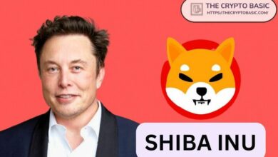 كم يمكن أن يرتفع سعر Shiba Inu إذا بدأ إيلون ماسك الترويج لها مثل Dogecoin؟ اكتشف الإجابة الآن!