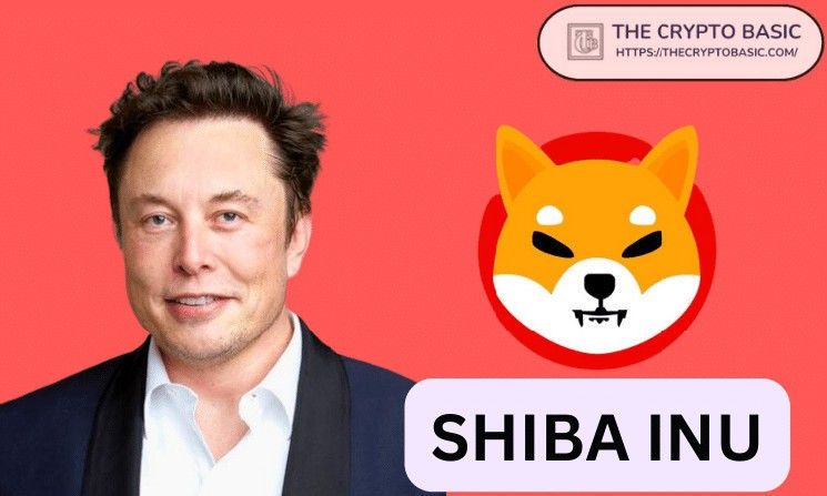 كم يمكن أن يرتفع سعر Shiba Inu إذا بدأ إيلون ماسك الترويج لها مثل Dogecoin؟ اكتشف الإجابة الآن!