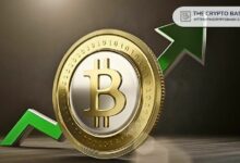"محلل مخضرم: البيتكوين مبرمج للصعود إلى 400 ألف دولار - اكتشف السبب الآن!"