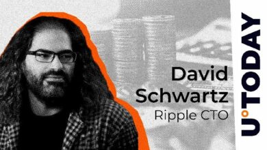 رئيس التقنية في Ripple يتنبأ بتحول كبير مع براهين ZK: اكتشف التفاصيل الآن