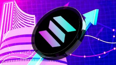 "سعر سولانا يتجه نحو 200 دولار مع ارتفاع القيمة الإجمالية المقفلة وعائدات الرسوم – هل سيسبق الإيثيريوم؟ اكتشف الآن!"