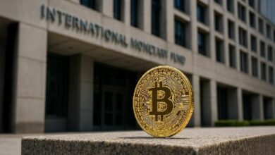 "خبير اقتصادي سابق في صندوق النقد الدولي يحذر: العملات الرقمية تهدد هيمنة الدولار الأمريكي – اكتشف التفاصيل الآن!"