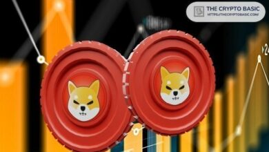 عدد عناوين Shiba Inu التي تحتفظ بتريليونات من SHIB لأكثر من عام – اكتشف التفاصيل الآن!