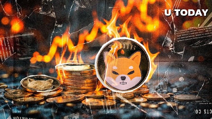 🔥 327,003,078 SHIB أُحرقت مع ارتفاع معدل حرق SHIB بنسبة 300%! اكتشف التفاصيل الآن