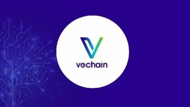 "في تشين تتقدم بقوة في 2025 بفضل تتبع السلوكيات الواقعية – اكتشف التفاصيل الآن!"