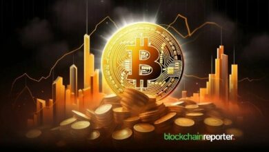 "مستثمرو البيتكوين يواصلون التمسك بـ HODLing على بينانس رغم تقلبات السوق الصاعدة – اكتشف السبب!"