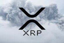 "إكس آر بي (XRP) الوحيد في منطقة الربح بين المشترين المبتهجين — بيتكوين وسولانا في خسائر كبيرة! اكتشف التفاصيل الآن"