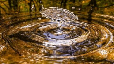 "بيتماين تطلق جهاز تعدين 'الأكثر كفاءة' في ظل تحولات السوق.. اكتشف التفاصيل الآن!"