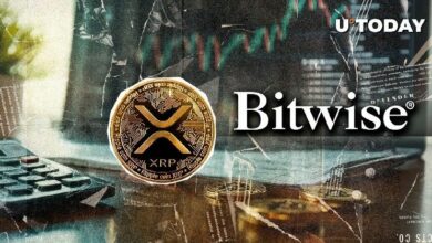 "رئيس Bitwise: Ripple قادرة على شراء العديد من شركات العملات الرقمية - اكتشف التفاصيل الآن!"