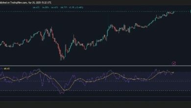 ارتفعت أسهم شركة DeFi Development Corp بنسبة 1700% في بضعة أسابيع فقط: إليك السبب واكتشف التفاصيل الآن!