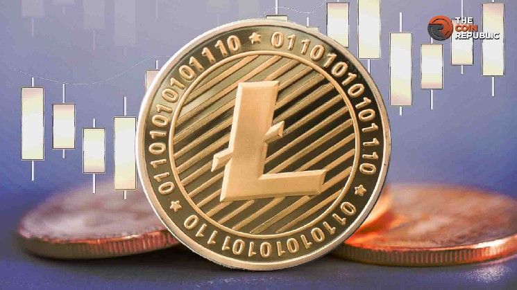 سعر اللايتكوين: ما تُخبرنا به بيانات الحائزين عن آفاقه طويلة الأجل - اكتشف التفاصيل الآن!