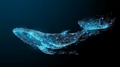 "حوت ضخم يشتري كمية كبيرة من هذه العملة البديلة: يصبح ثاني أكبر حامل لها – اكتشف التفاصيل الآن!"