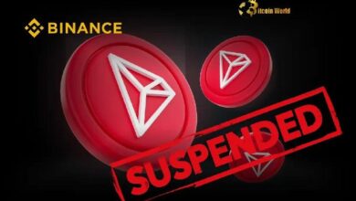 تعليق بينانس لـ TRX: تحديث حيوي حول صيانة شبكة ترون - اكتشف التفاصيل الآن!
