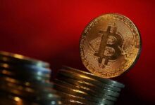 هل يعيد التاريخ نفسه في البيتكوين؟ شركة تحليل تتوقع حركة BTC القادمة بناءً على بيانات سابقة! اكتشف التفاصيل الآن