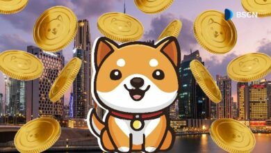 ما هي خصائص BabyDoge؟ اكتشف المميزات التي تجعلها فريدة!
