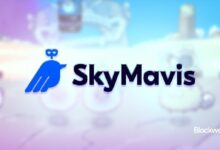 "شركة Sky Mavis تتهم Seed Go بانتهاك حقوق الملكية الفكرية لـ Axie Infinity – اكتشف التفاصيل الآن!"