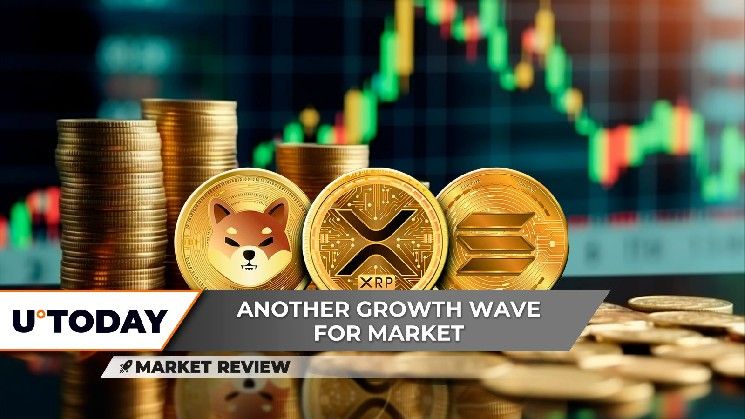 "XRP يفقد دعمًا رئيسيًا.. ارتداد مفاجئ لـ Shiba Inu (SHIB).. هل يصل سولانا (SOL) إلى 180 دولار؟ اكتشف الآن!"