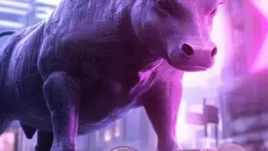 سعر STO يرتفع بأكثر من 30% بعد إدراجه في Binance – اكتشف التفاصيل الآن!