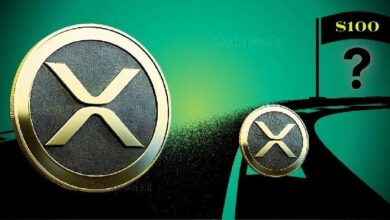 سعر XRP يتجه نحو الانهيار.. محلل يكشف عن مستويات حاسمة (تعرف عليها الآن)