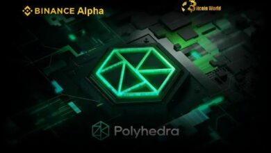 تطور مثير: بينانس تطلق ميزة ألفا لعملة ZKJ (شبكة Polyhedra) - اكتشف التفاصيل الآن!