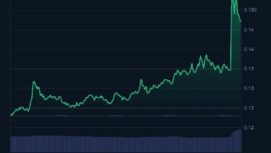هذا الألتكوين شهد ارتفاعًا حادًا بعد إعلان المطورين – تعرف على التفاصيل الآن!
