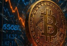 "شركة MARA تُعلن عن إيرادات 214 مليون دولار في الربع الأول وتزيد حيازتها من البيتكوين إلى 47,531 BTC – اكتشف التفاصيل الآن!"