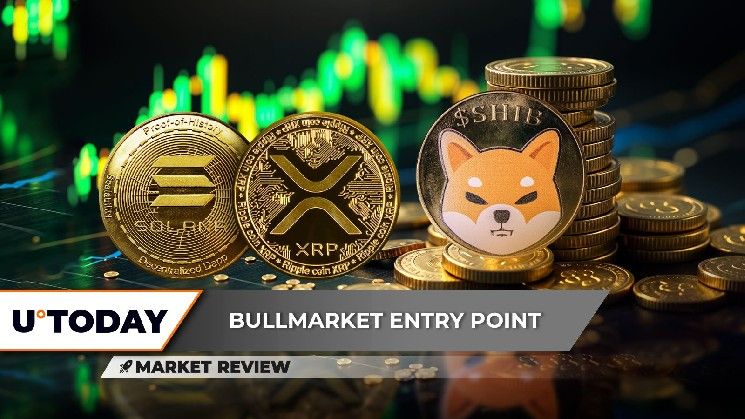 سعر XRP عالق ومحاصر، شيبا إينو (SHIB): هل يصل إلى أدنى مستوى في 2025؟ عاصفة صعودية تلوح في الأفق لسولانا (SOL) – اكتشف التفاصيل الآن!