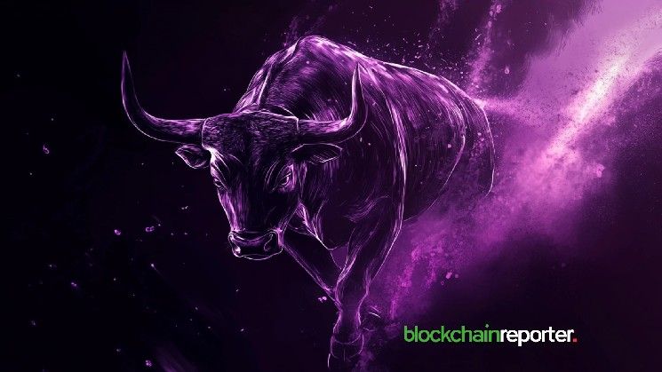 تاجر صاعد يجني 9 ملايين دولار من شراء 22 عملة رقمية - اكتشف الاستراتيجية الآن!