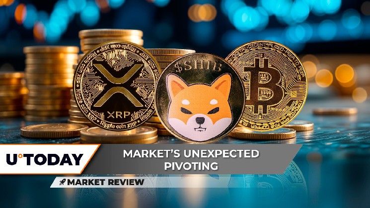 "بتكوين (BTC): 100,000 دولار أخيرًا هنا! هذا المستوى من XRP قد يدفع السعر إلى 3 دولارات، وانتعاش ضخم لشيبا إنو (SHIB).. هل بدأ السوق الصاعد؟"