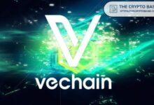 "خبير السوق يكشف عن التطورات الرئيسية التي تدفع الاهتمام بـ VeChain قبل يوليو – اكتشف التفاصيل الآن!"