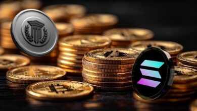 "سونيك SVM تشحن عالمها بتوسع كبير في إيكولوجي ديفاي، إن إف تي، الألعاب ومشاريع الميمز – اكتشف التفاصيل الآن!"